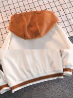 Men's Casual Letter Print Hooded Varsity Jacket, Chic Vintage Style Thin Bomber Jacket For Spring Fall - Image 8